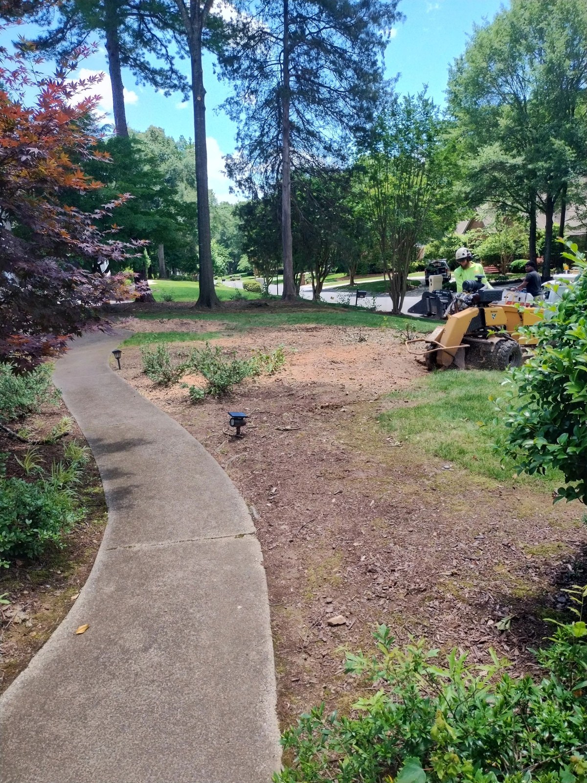 Storm Cleanup